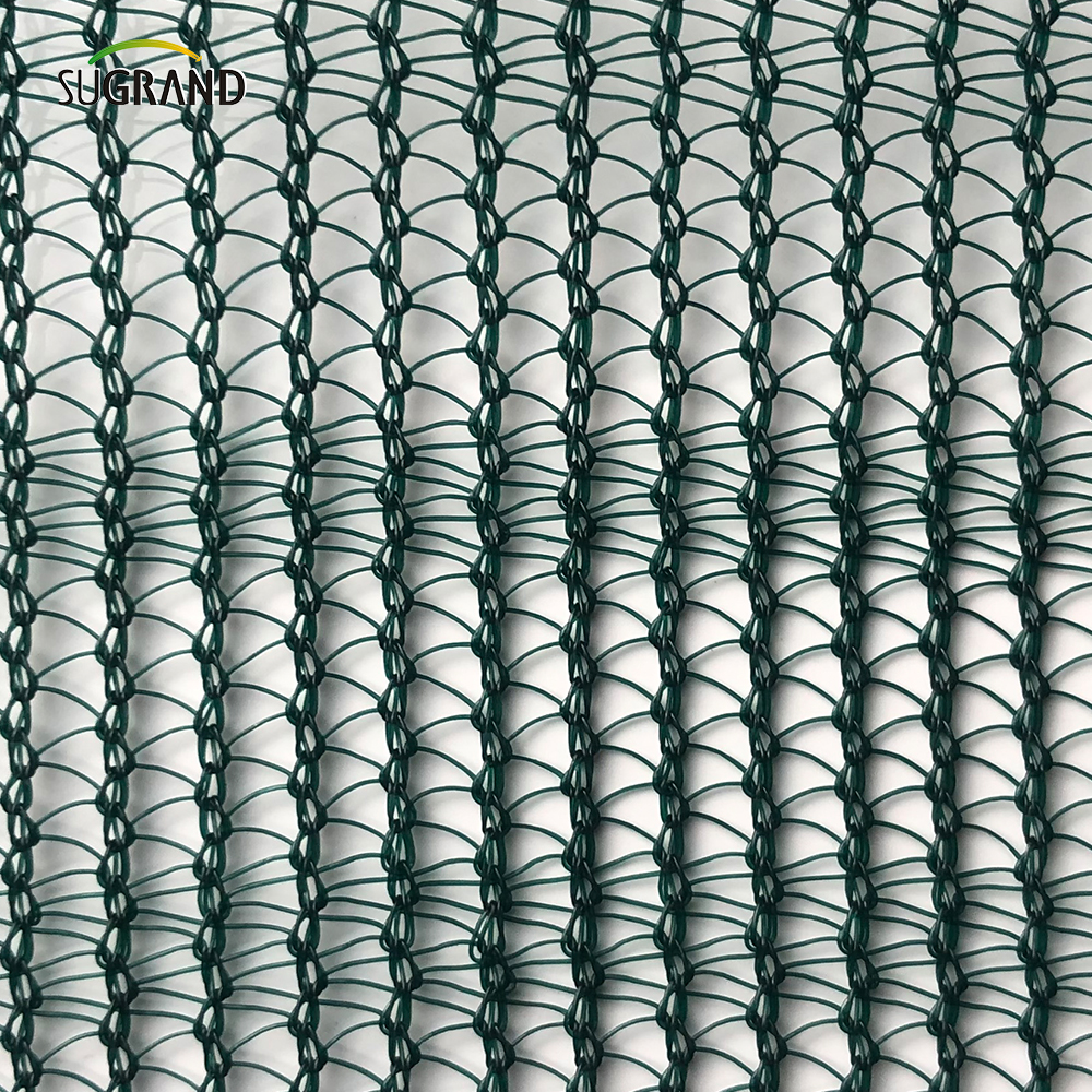 olive net Sieć oliwek