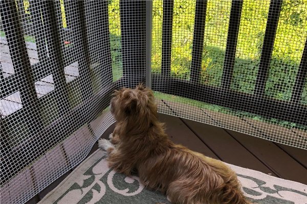 Zwierzęta ogrodzenia bop plastikowa siatka