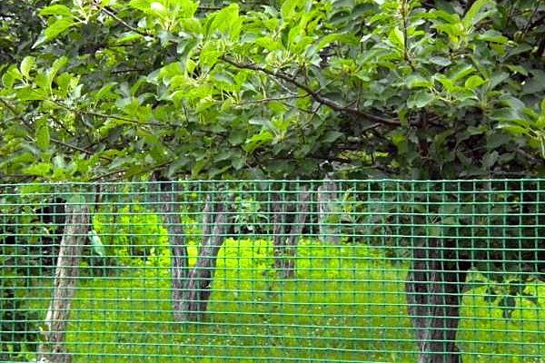 BOP plastikowa siatka