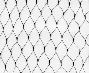 Jaka jest zaleta Bird Nets?