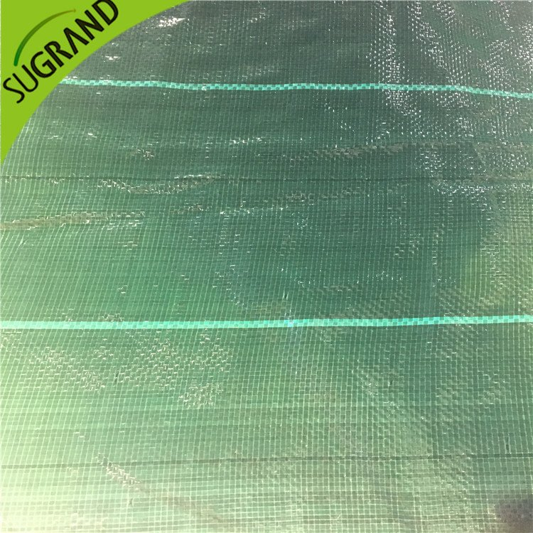 Dark Green 104GSM pokrywka naziemna