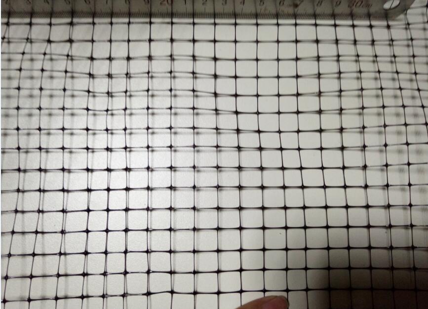 WPROWADZENIE DO ANTI BIRD NET