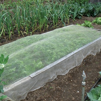 Fundament realizacji niezbyt zanieczyszczenia warzyw-Anti Insect Net