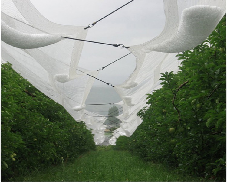 Netting ochrony gradu