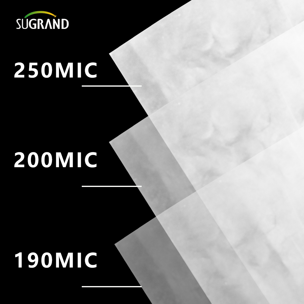 150 MICRON-250 MICRON UV Clear Polyethhouse Greenhouse Plastire Film Film Film Film Film