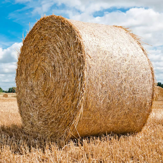 Siatka do bel paletowych Hurtowa siatka do owijania kiszonki