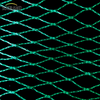 Green Bird Net Net 4x30m Net dla dostawców rynku Tajlandii