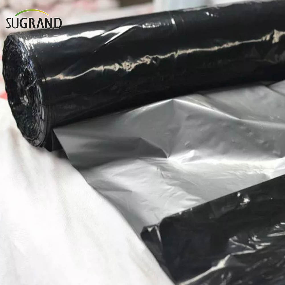 rolnictwo plastikowe ściółkę 