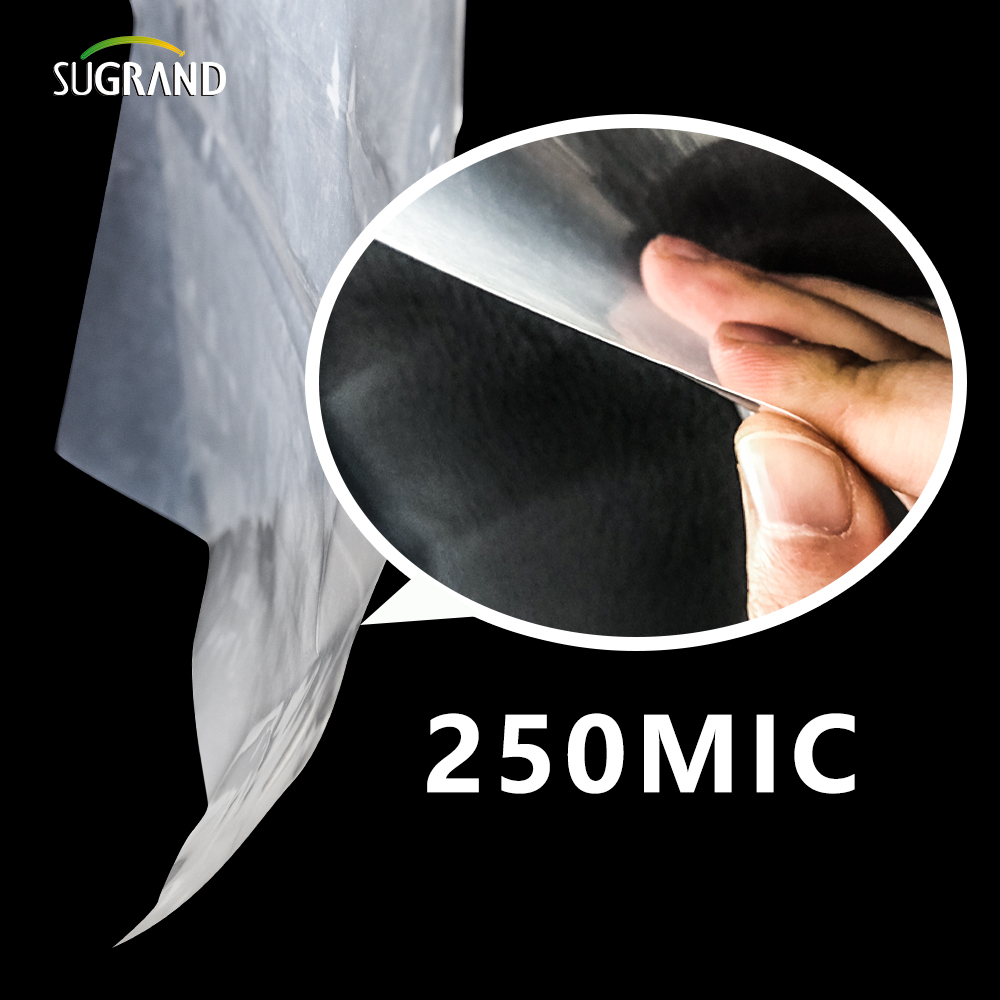 150 MICRON-250 MICRON UV Clear Polyethhouse Greenhouse Plastire Film Film Film Film Film