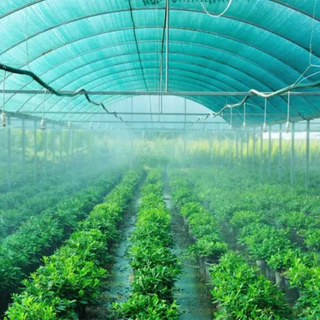 Zielona taśma Siatka zacieniająca z trzema igłami