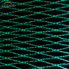 Green Bird Net Net 4x30m Net dla dostawców rynku Tajlandii