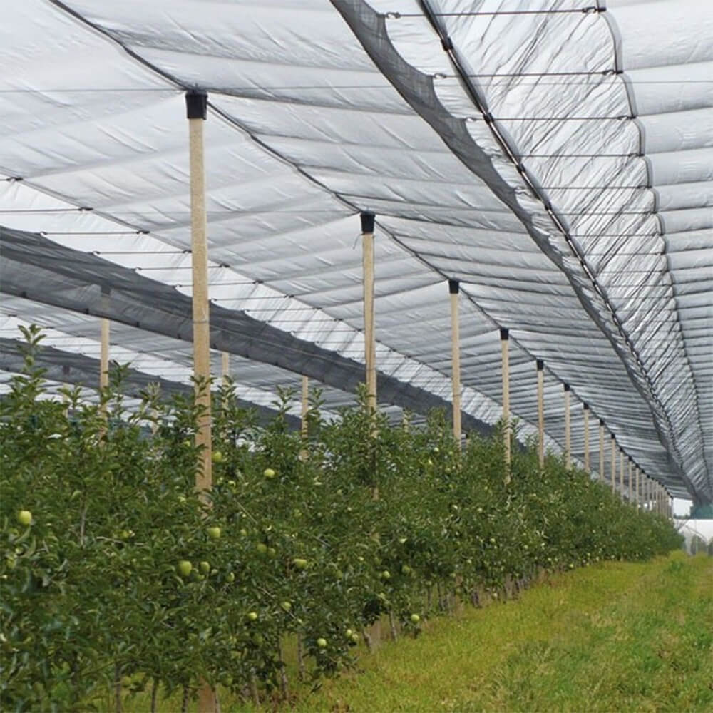 Wysokiej jakości dzianinowa siatka przeciwgradowa do winnic