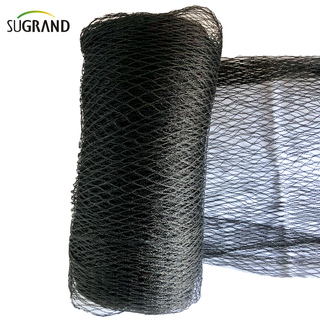Black Anti Bird Net Sale Online