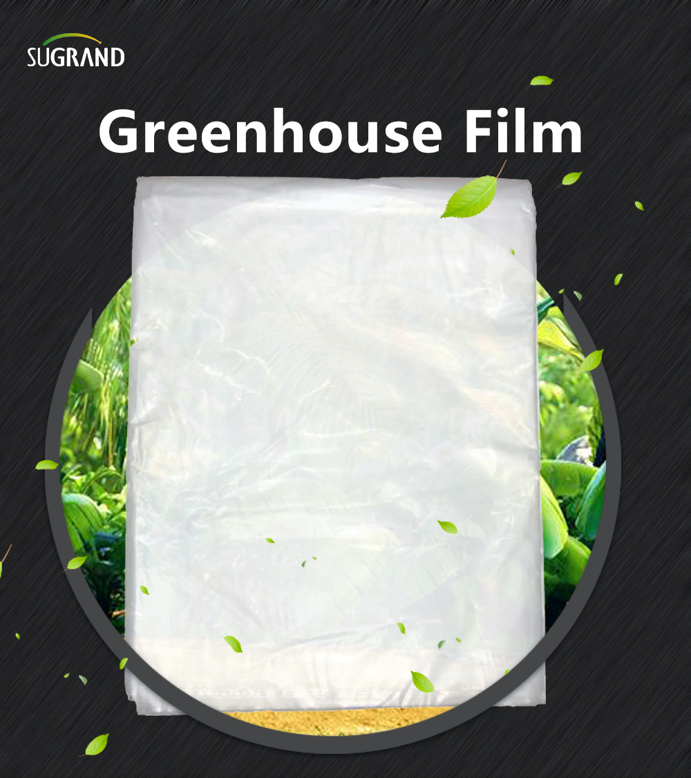 Film cieplarniany 1