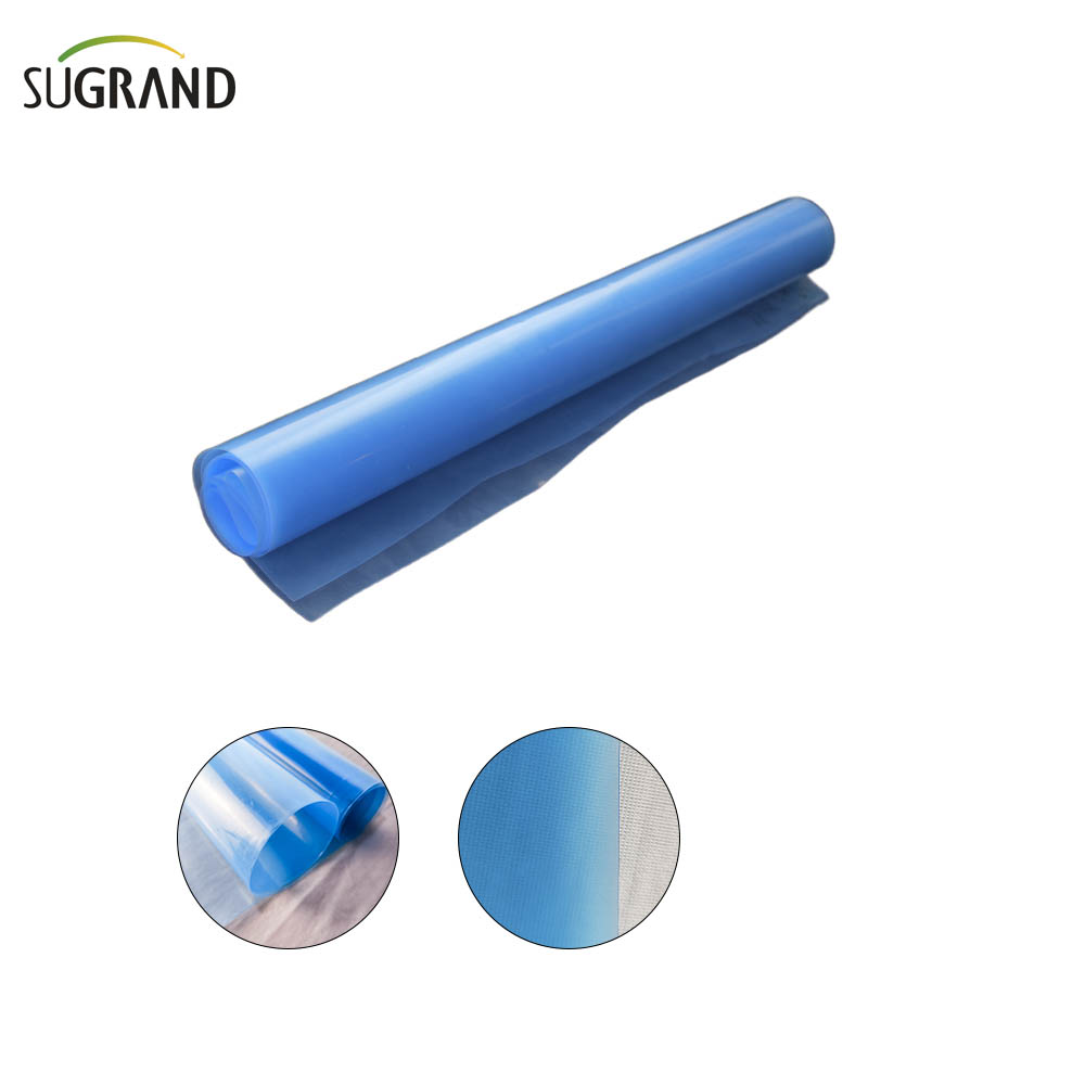 150 MICRON-250 MICRON UV Clear Polyethhouse Greenhouse Plastire Film Film Film Film Film