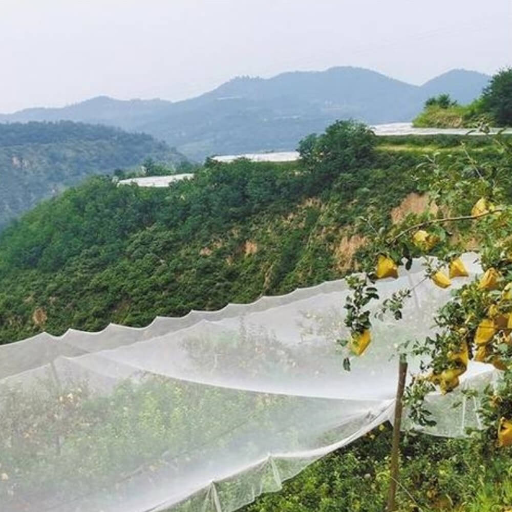 Wysokiej jakości dzianinowa siatka przeciwgradowa do winnic