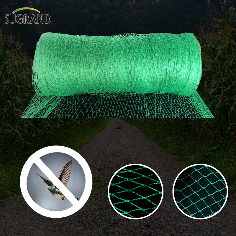 Green Bird Net Net 4x30m Net dla dostawców rynku Tajlandii