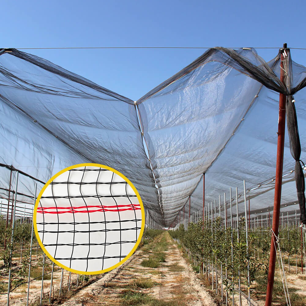 Wysokiej jakości dzianinowa siatka przeciwgradowa do winnic