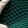 Green Bird Net Net 4x30m Net dla dostawców rynku Tajlandii