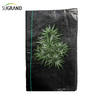 100% PP Black Ground Cover/Tabil
