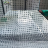 70G/80G PP Wyciągnij ogród przeciw mole lub jelenia. 
