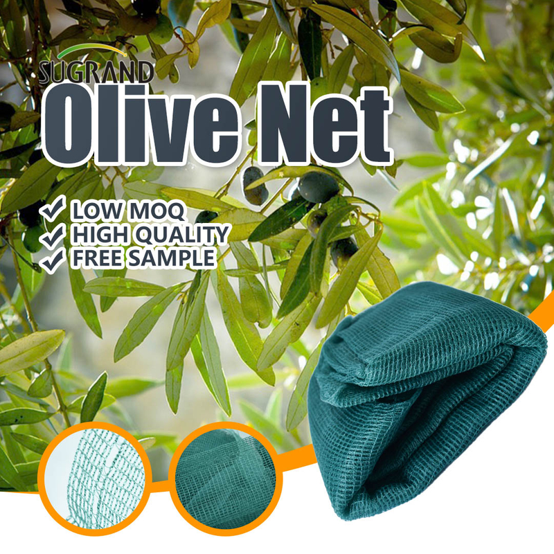 5x10M Olive Collection Net do zbioru owoców sieci oliwek we Włoszech